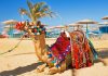 Best Travel Guide for Things to do in Hurghada Best Things to do in Hurghada City