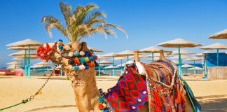 Best Travel Guide for Things to do in Hurghada Best Things to do in Hurghada City