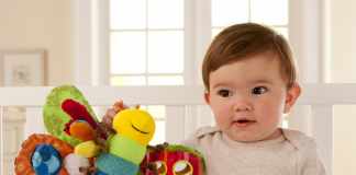 What should you look for while buying toys for 6 month old? toys for 6 month old