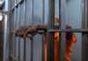 The Significance of Bail Bonds in Criminal Offenses Significance of Bail Bonds
