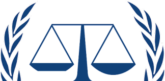 Top things a Lawyer won’t Tell You things a Lawyer won't Tell