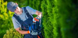 How to Start a Landscaping Business the Right Way how to start a landscaping business