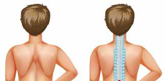 4 Tips for a Healthy Spine Healthy Spine