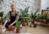 5 Steps to Creating a Beautiful Garden Beautiful Garden