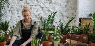 5 Steps to Creating a Beautiful Garden Beautiful Garden