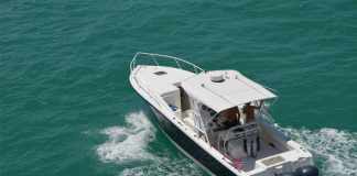Boating for Beginners: What You Need to Know boating