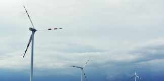5 Reasons to Switch to Renewable Energy energy