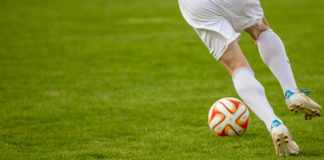 What to Know About the World Cup Teams in 2022 What to Know About the World Cup Teams in 2022