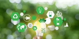 Step-by-Step Guide to Implementing an Environmental Management System