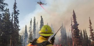 Preventing Future Fires: Steps to Improve Fire Safety and Preparedness