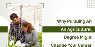 Why Pursuing an Agricultural Degree Might Change Your Career?